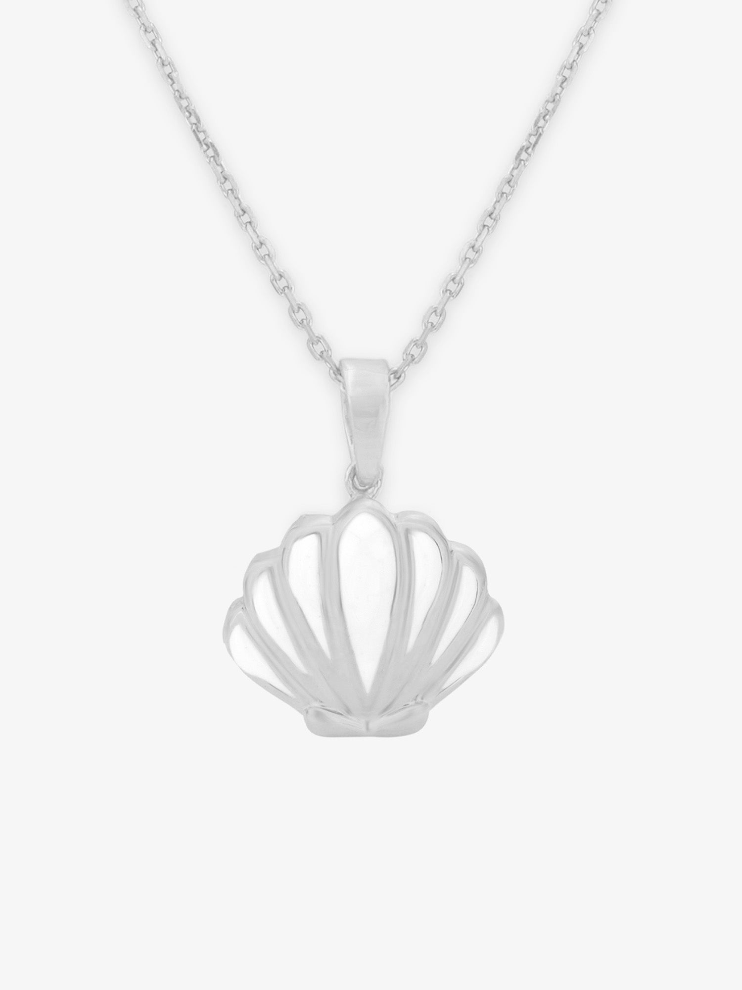 Shell Pendant with Chain